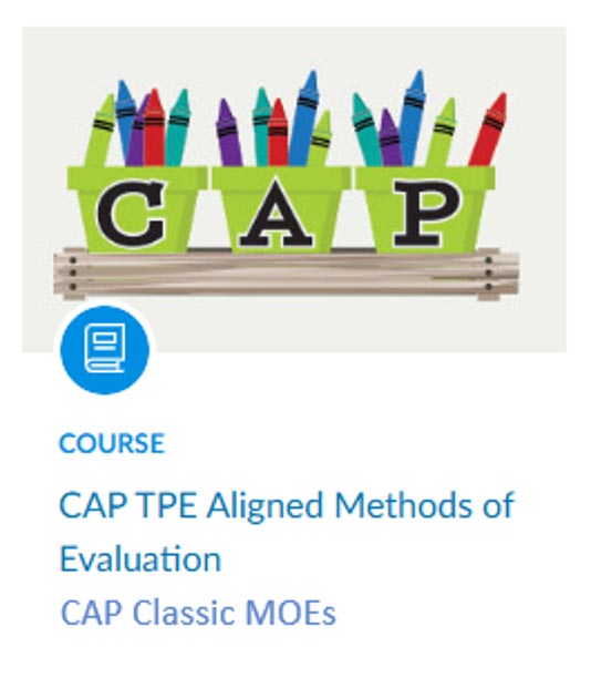 Graphic of CAP Signature Assignments indicator, showing the CAP logo and a book icon overlay prior to the course title